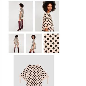 Zara Polka Dot Dress
